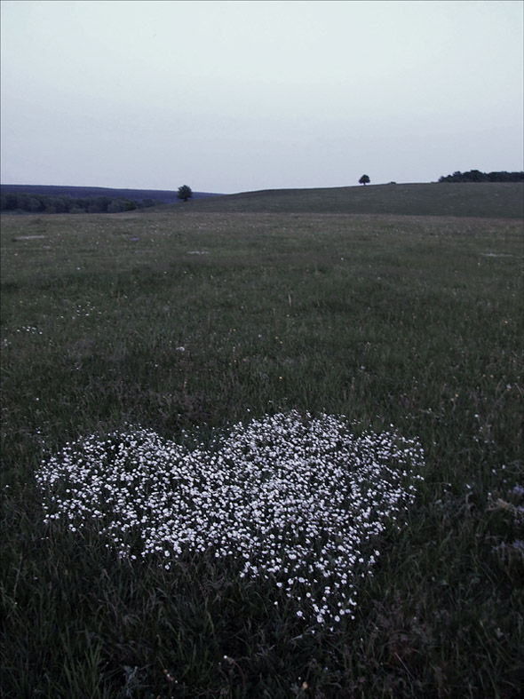  romantic...