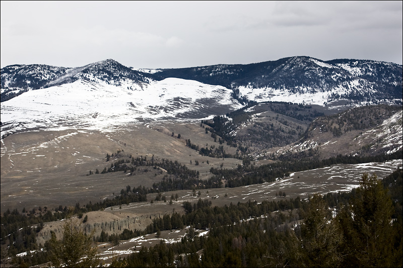  Gardner Canyon