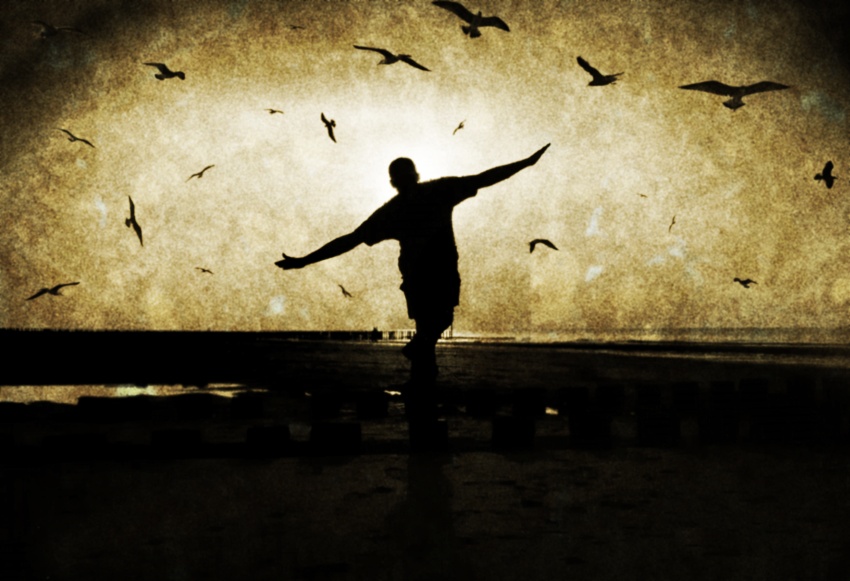  Dreams about flying