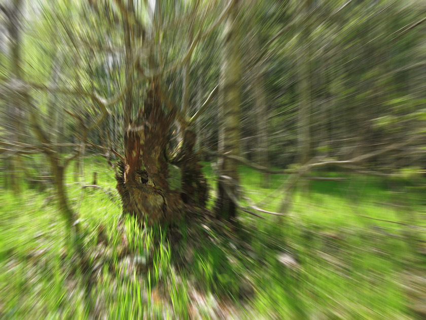  [ ,  ]