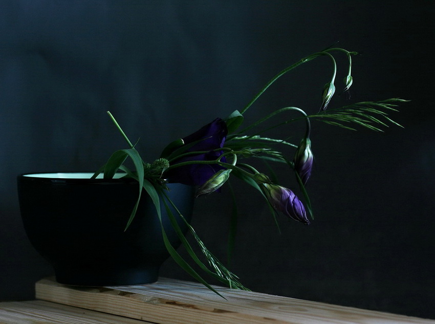  Eustoma No.1
