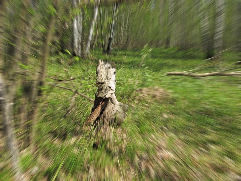  [ ]