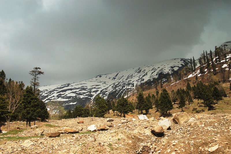  Gimalai.