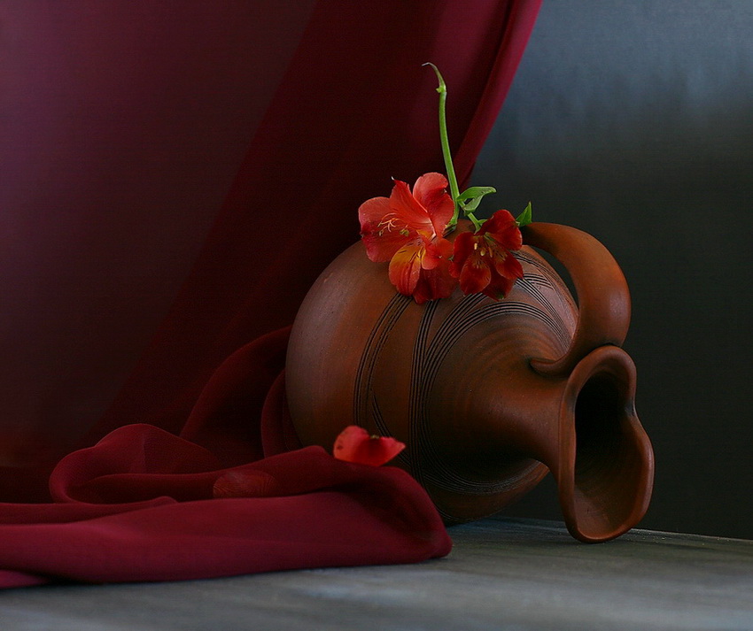  Alstroemeria No.3