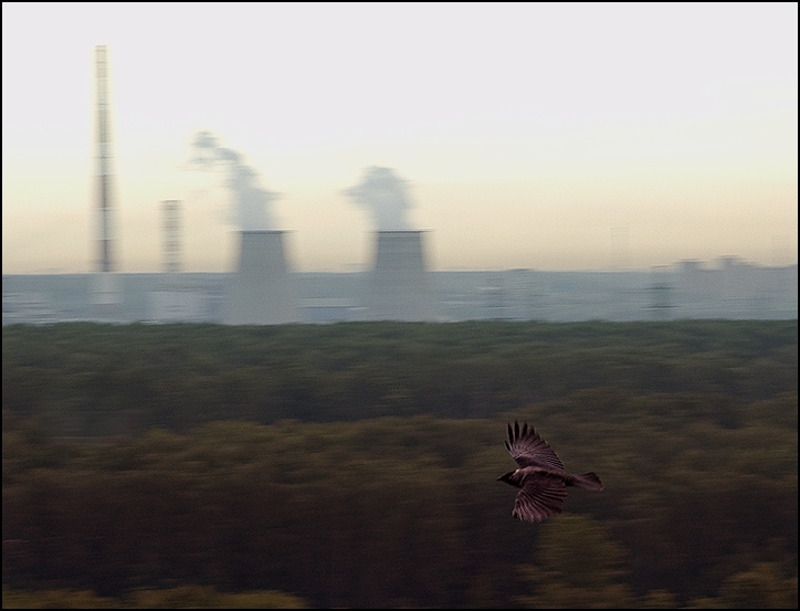  flight from the roof