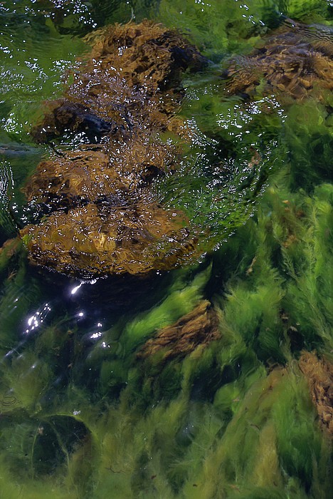  water therapy