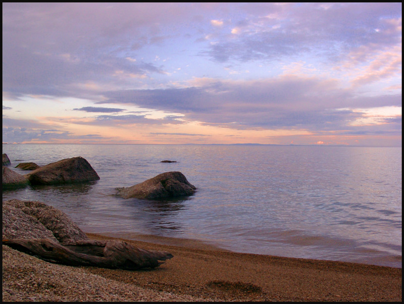   2008