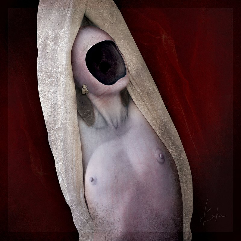 Cocoon.