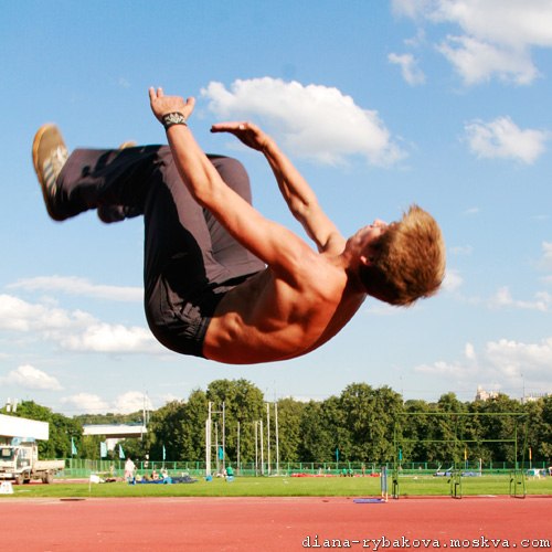  fly