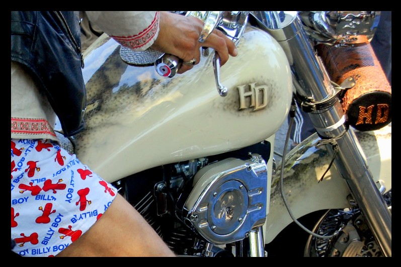  harley davidson