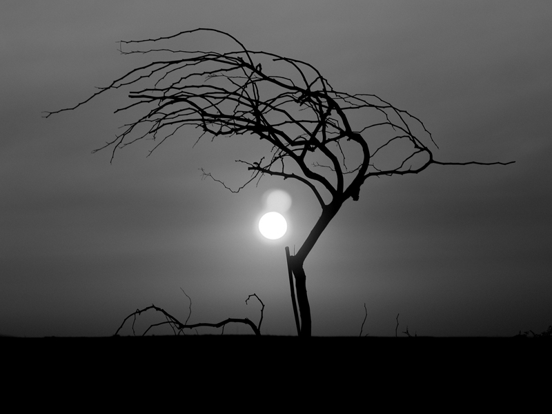  Tango with Sun
