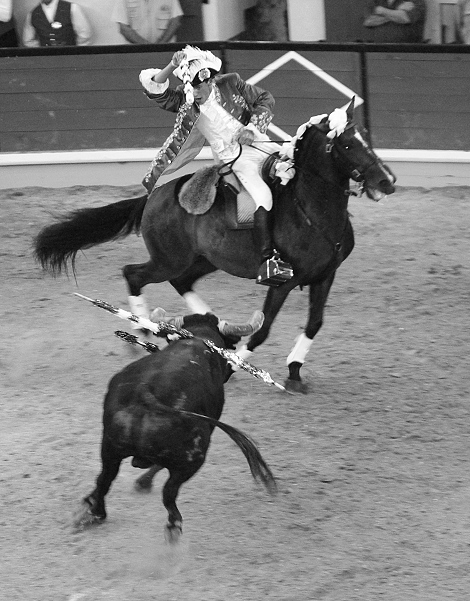  Corrida.Cavaleiro.