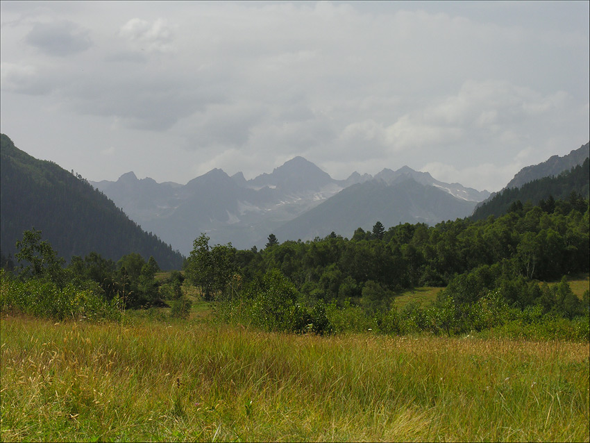    2008 (1)