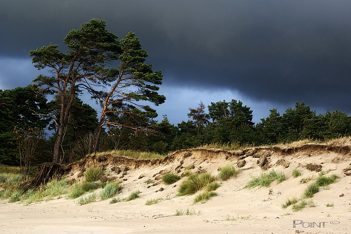  cloudy day