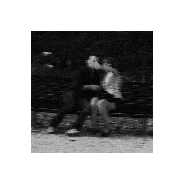  amor amor