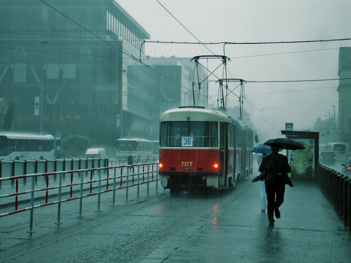  KisS the RaiN!.. 