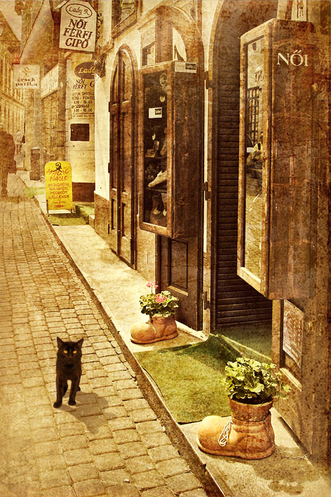  Cat 2