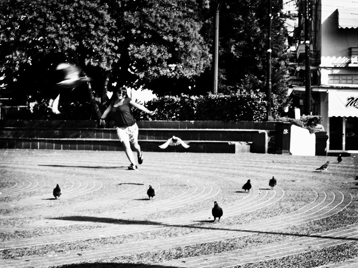  Fly Lessons.. 