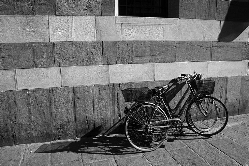  bici