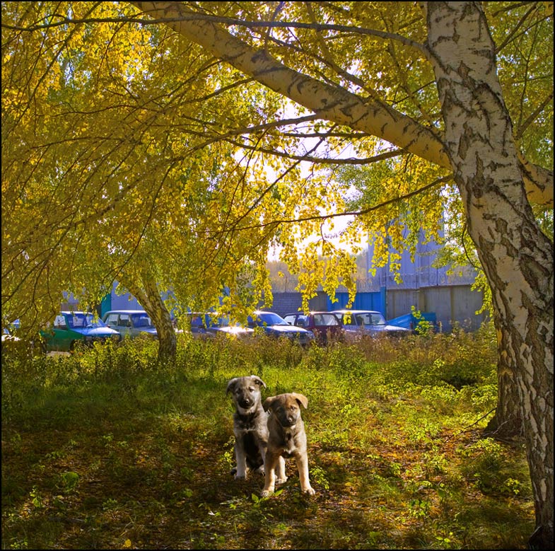  -8