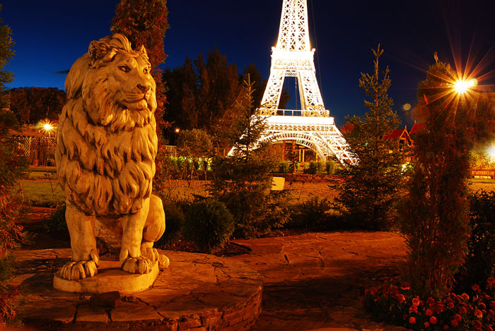  lion