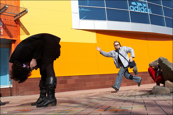  adidas / /