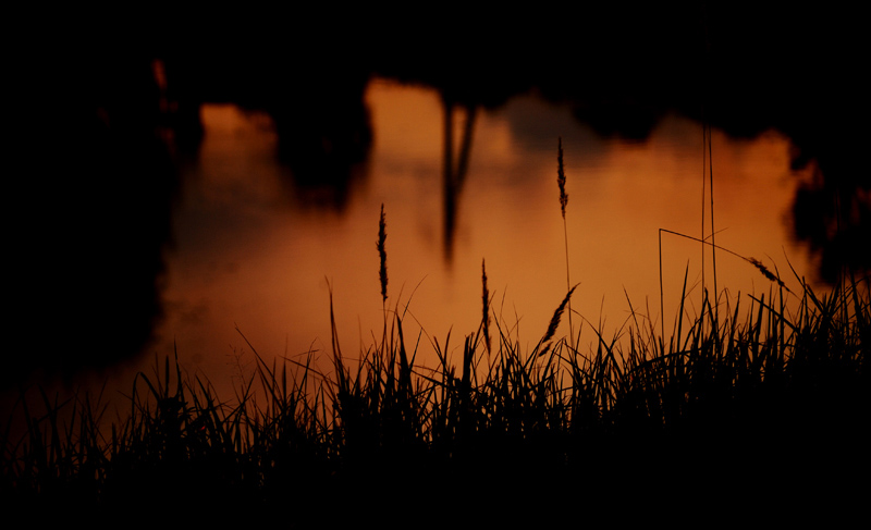  Just Silence