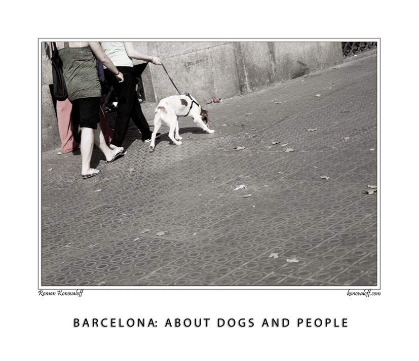  BARCELONA: ABOUT DOGS AND PEOPLE