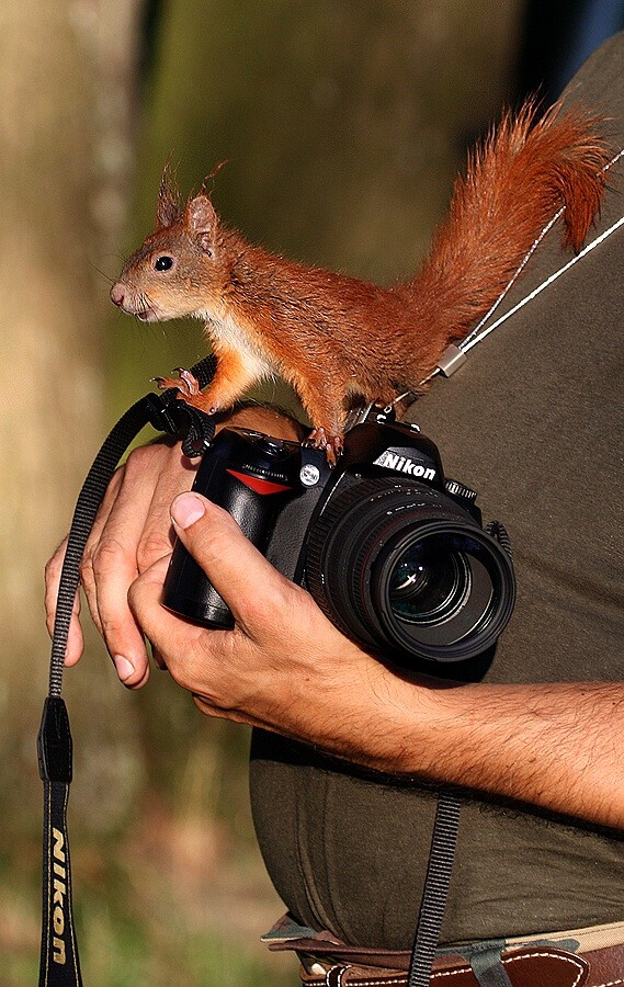    "Nikon"    ,,, ???