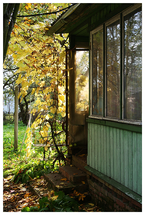   :  2008