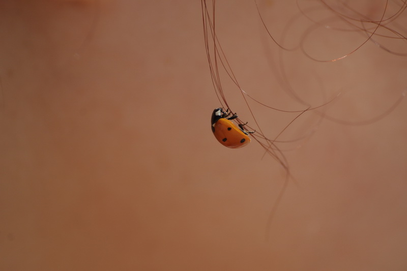   ң
