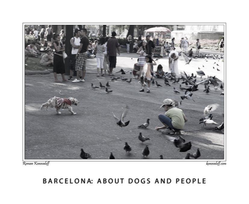  BARCELONA: ABOUT DOGS AND PEOPLE