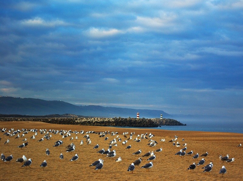  Early hour`s beach