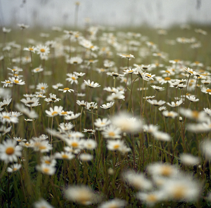  after rain