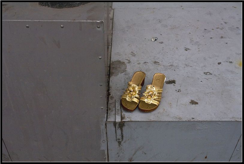   ( ) 2008.