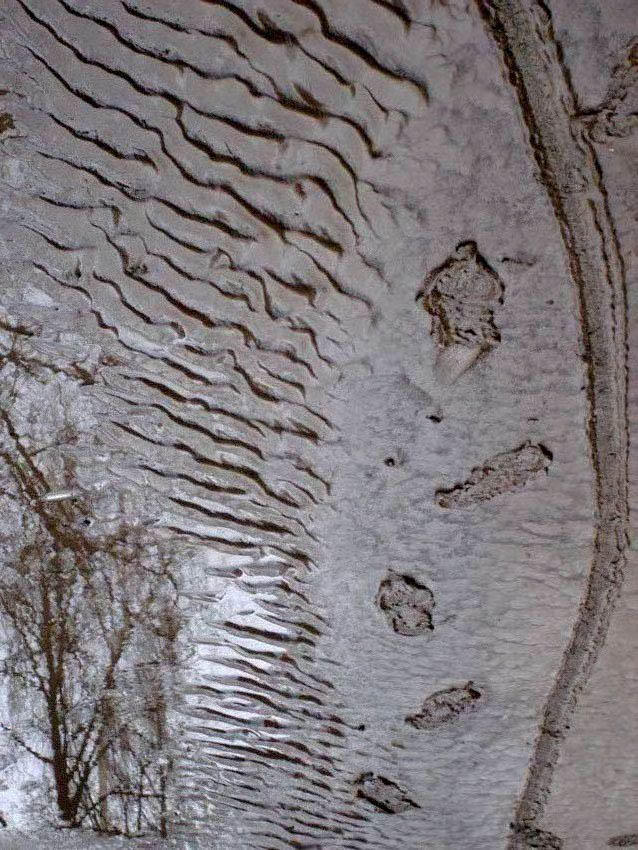  ݣ   