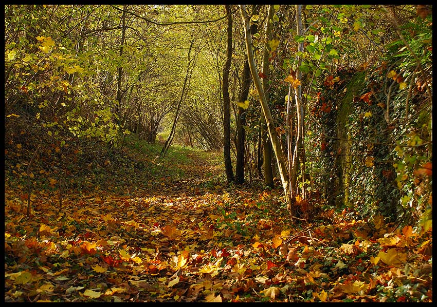  Le sentier.