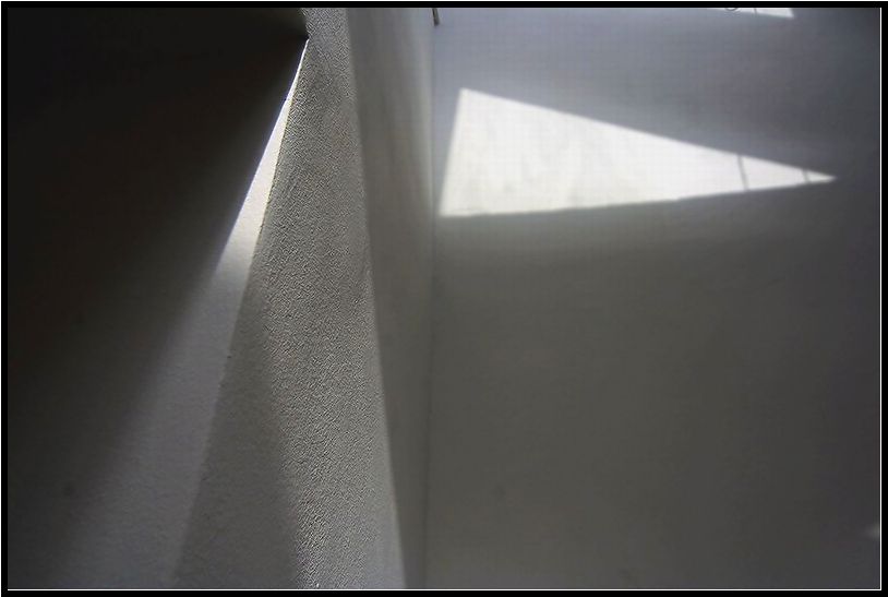    . . 2006