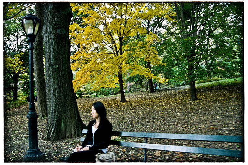  Autumn in New York