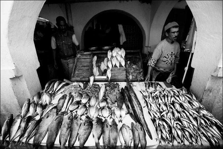  Essaouira Gnaoua 