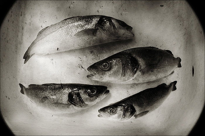    4- 