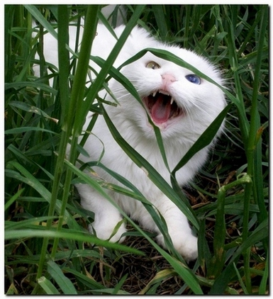   :)