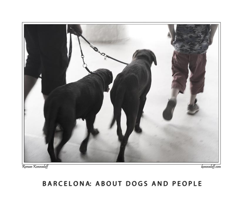  BARCELONA: ABOUT DOGS AND PEOPLE