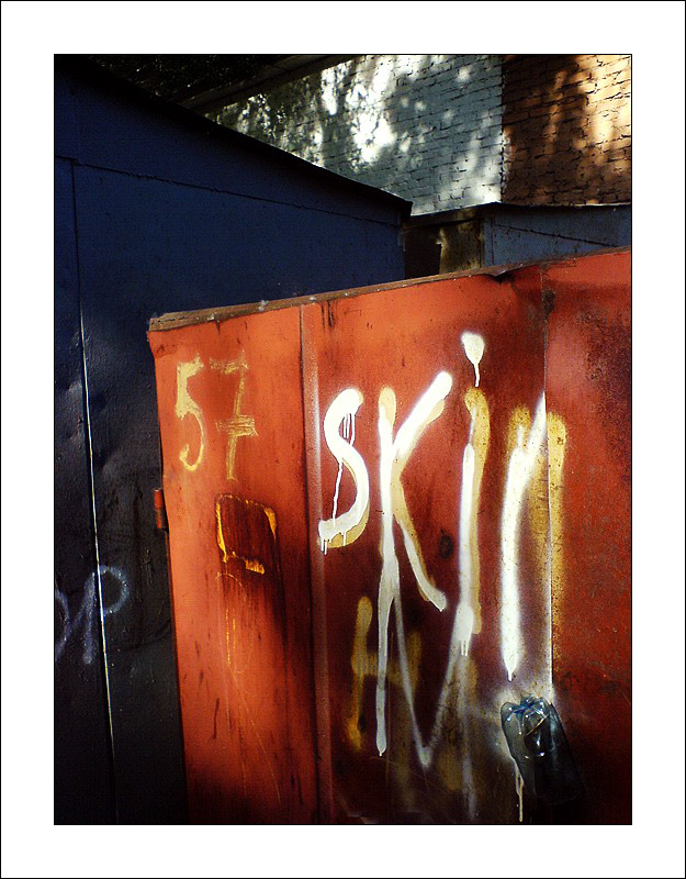  SKIN