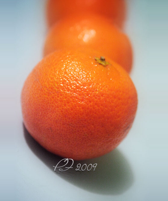  PF 2009