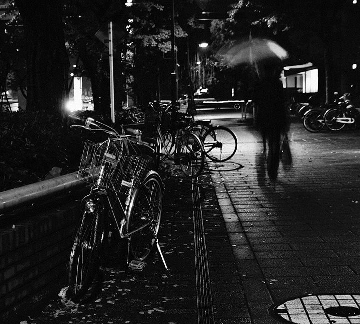  Rainy (2)
