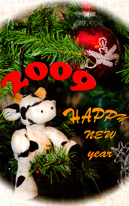    2009-!