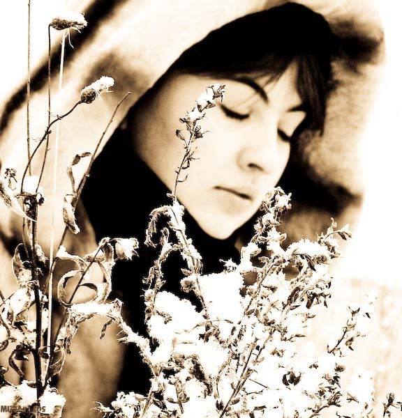  SNOW DREAMS