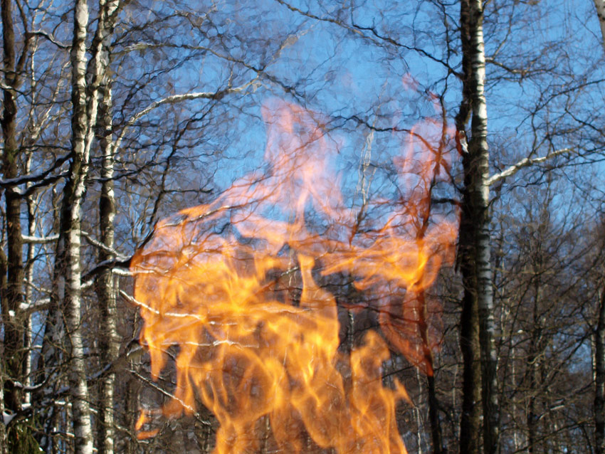  fire dreams