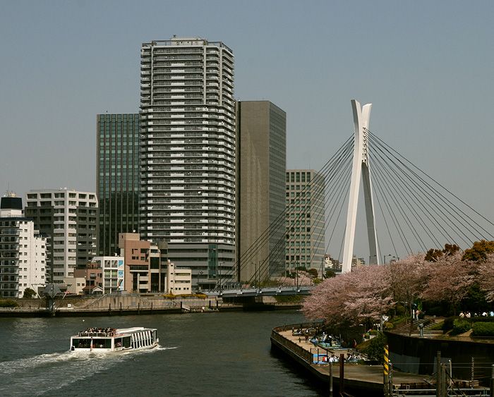  Sumida Ku View (1)